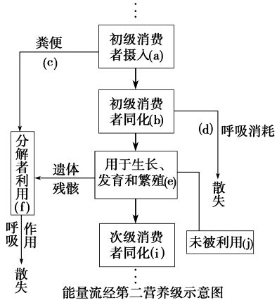 能量流失|能量流动